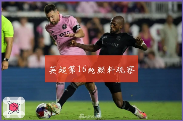 英超第16轮颜料观察