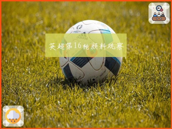 英超第16轮颜料观察