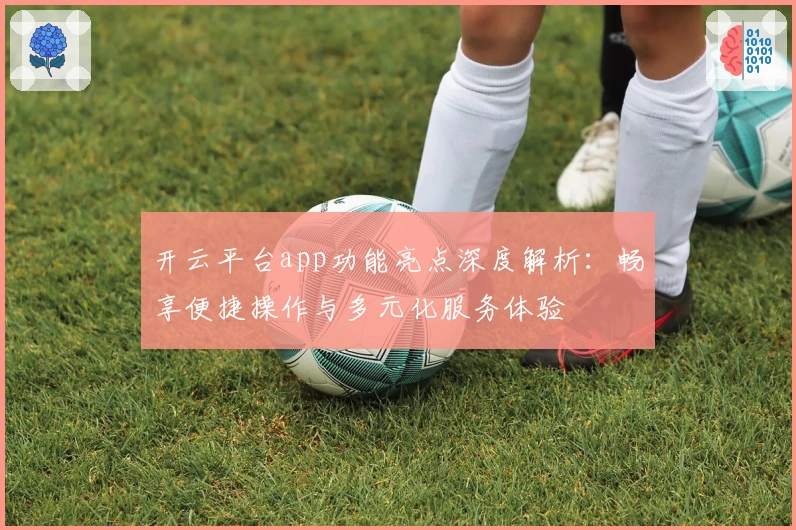 开云平台app功能亮点深度解析:畅享便捷操作与多元化服务体验